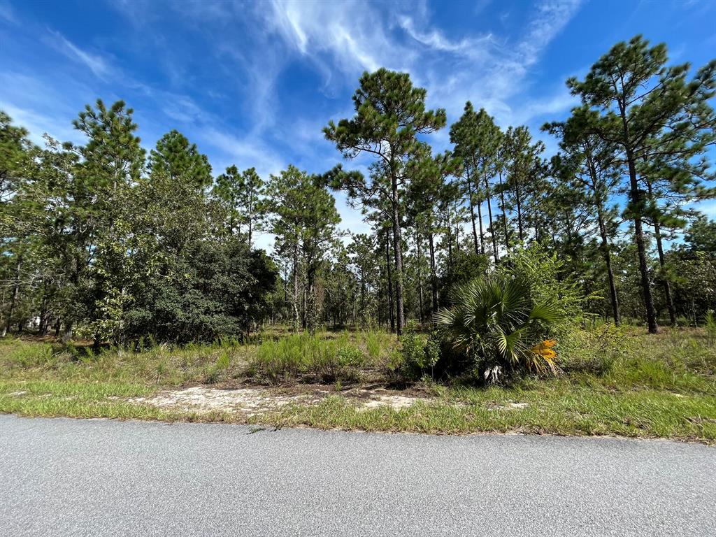 RAINBOW LAKES ESTATES - Land