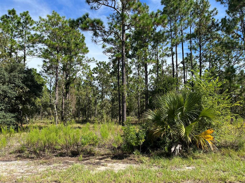 RAINBOW LAKES ESTATES - Land