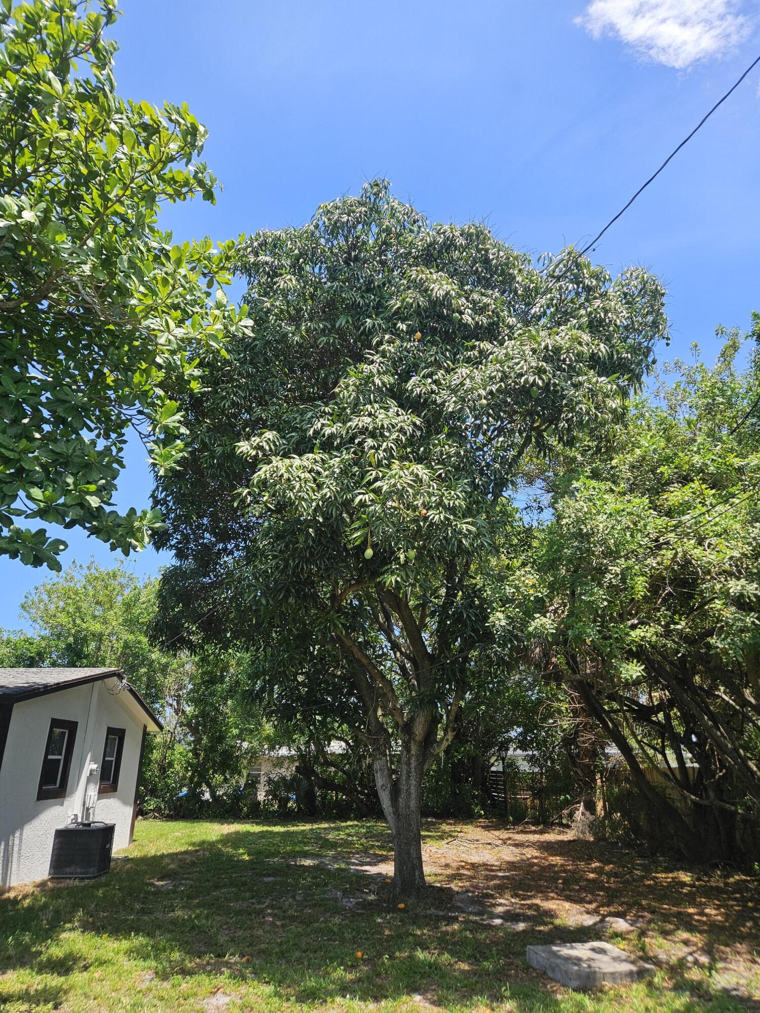 RIVIERA HEIGHTS - Residential