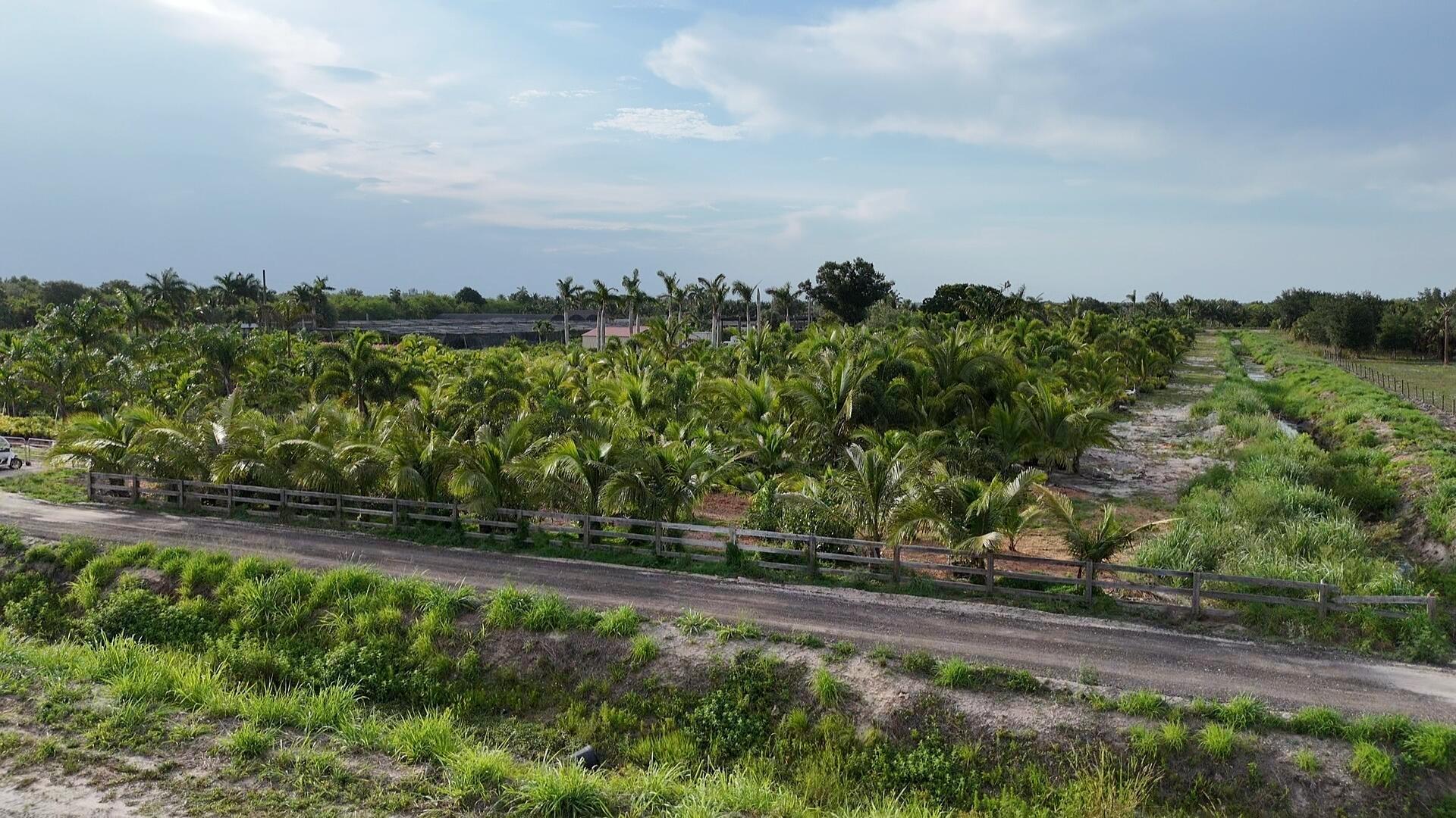 Excellent opportunity to own a spacious 5.05-acre lot in Santa Rosa County with NO HOA restrictions. This property is planted (plants will be removed prior to closing) the front is fenced, and includes an existing well--offering substantial savings on development costs. Enjoy privacy and flexibility with ample space for your custom home, outbuildings, animals, or recreational use. The lot is high and dry, with plenty of room for future expansion. Convenient location just minutes to shopping, schools, Westlake ER, beaches, gas stations, and banks--providing both rural tranquility and easy access to modern amenities. A rare find in today's market--don't miss your chance to build your dream home on this ready-to-go property