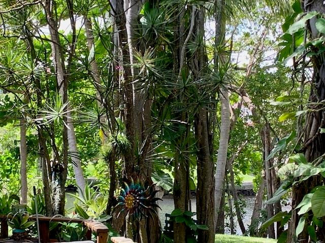 THE WOODS CONDOMINIUM - Residential