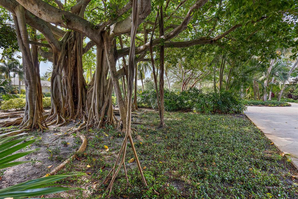 SEMINOLE LANDING - Residential