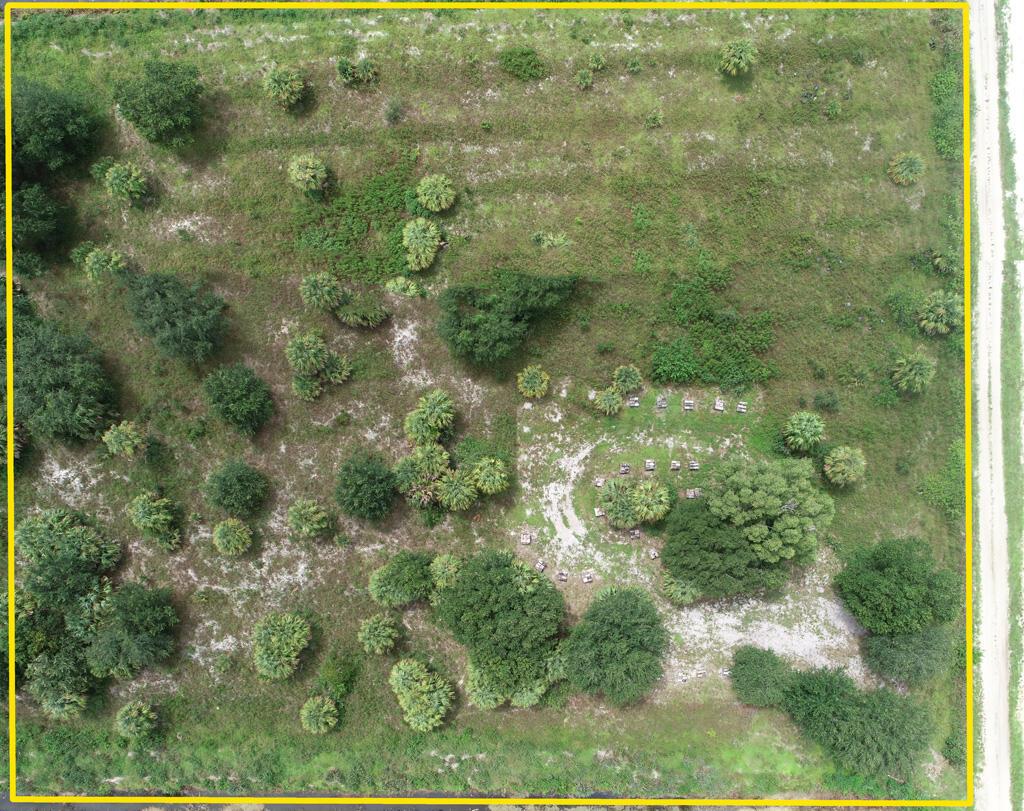 Lot-1880 Louise Street