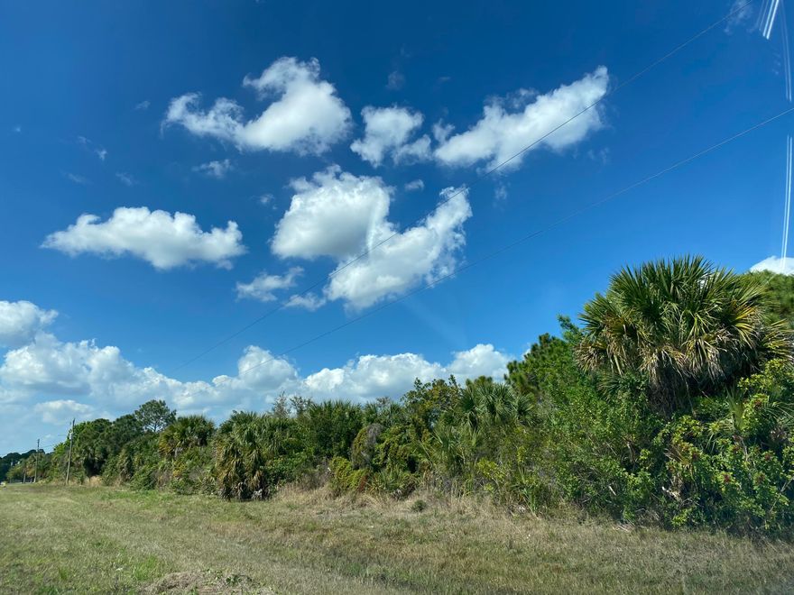 Discover the perfect opportunity to build your dream home on this vacant lot located at 342 Trotters Street SE, Palm Bay, FL 32909. Nestled in a quiet residential area, this property offers the ideal blend of privacy and convenience with easy access to schools, shopping, dining, and major roadways. Palm Bay continues to grow and is one of Brevard County's most desirable areas for new construction. Don't miss your chance to own a piece of Florida's Space Coast--whether you're planning your future home or investing for the long term.