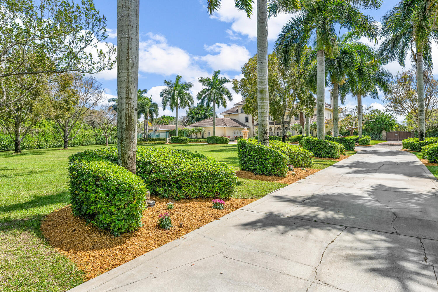 PADDOCK PARK NO 2 OF WELLINGTON - Residential