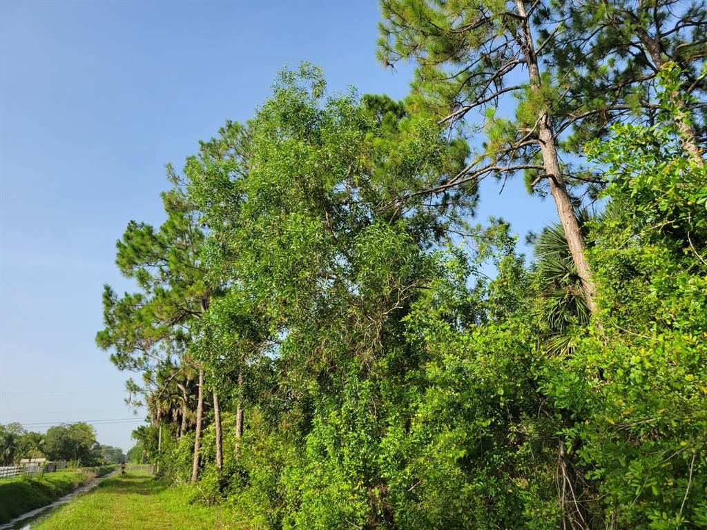 Photo of Xxxxx 87, Loxahatchee, FL 33470 (MLS # R10808388)