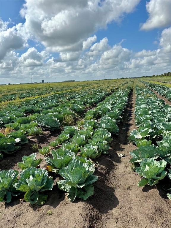 Southern Colonization Co - Land