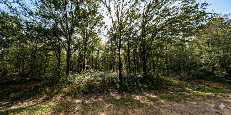 PRIME LOCATION 1.14-acre vacant lot in the rapidly growing Flagler Estates area of Hastings, FL! This expansive parcel is a dream setup off Cedar Ford Bld. and close poximity to Deep Creek for outdoor enthusiasts seeking space to spread out and enjoy Florida's natural playground. With no HOA, no CDD fees, and no deed restrictions, you have the freedom to create your ideal basecamp -- whether that's a site-built, modular, or manufactured home. Bring your boats, kayaks and fishing rods there's plenty of room for storage, additional structures, workshops, or gear. Located near Deep Creek and the St. Johns River, this property also provides convenient opportunities for kayaking, fishing, and waterfront adventures. Enjoy the best of both worlds with peaceful, recreational living while still being within reach of St. Augustine, Jacksonville, and the beautiful Northeast Florida beaches.

Whether you're looking to build your outdoor retreat, weekend getaway, or long-term investment, this property is ready for your vision. Secure your slice of Florida freedom today