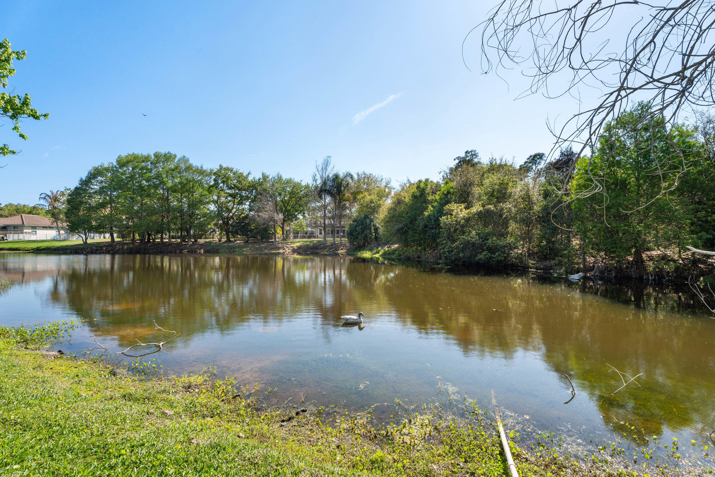 HAMMOCK CREEK - Residential