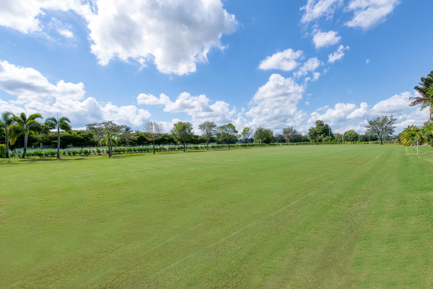 PALM BEACH POINT - Residential