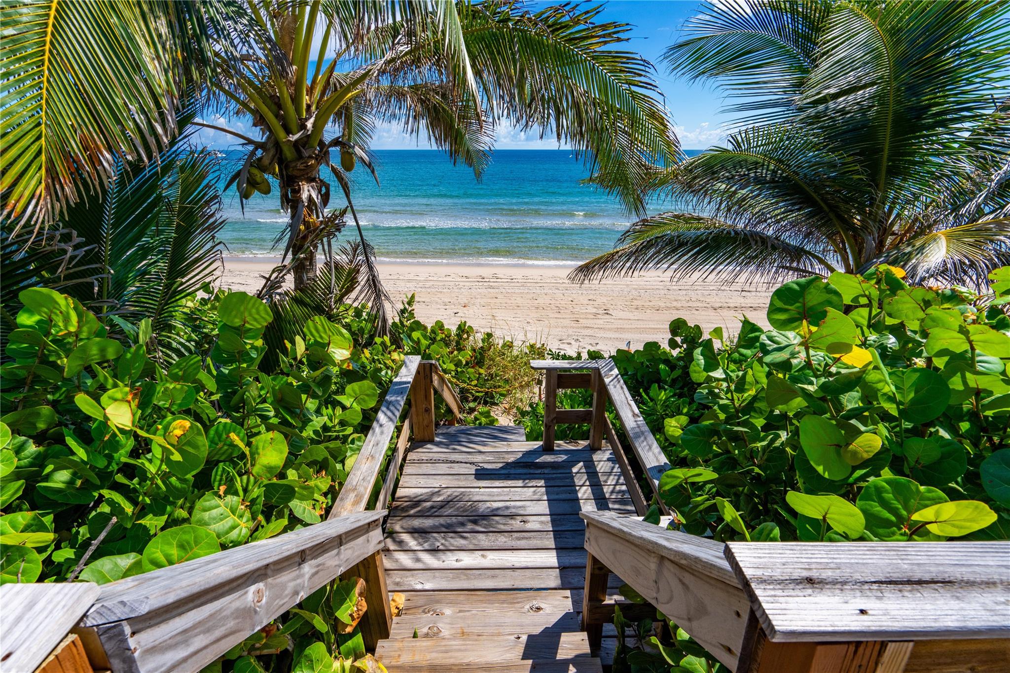 Hillsboro Mile - Residential