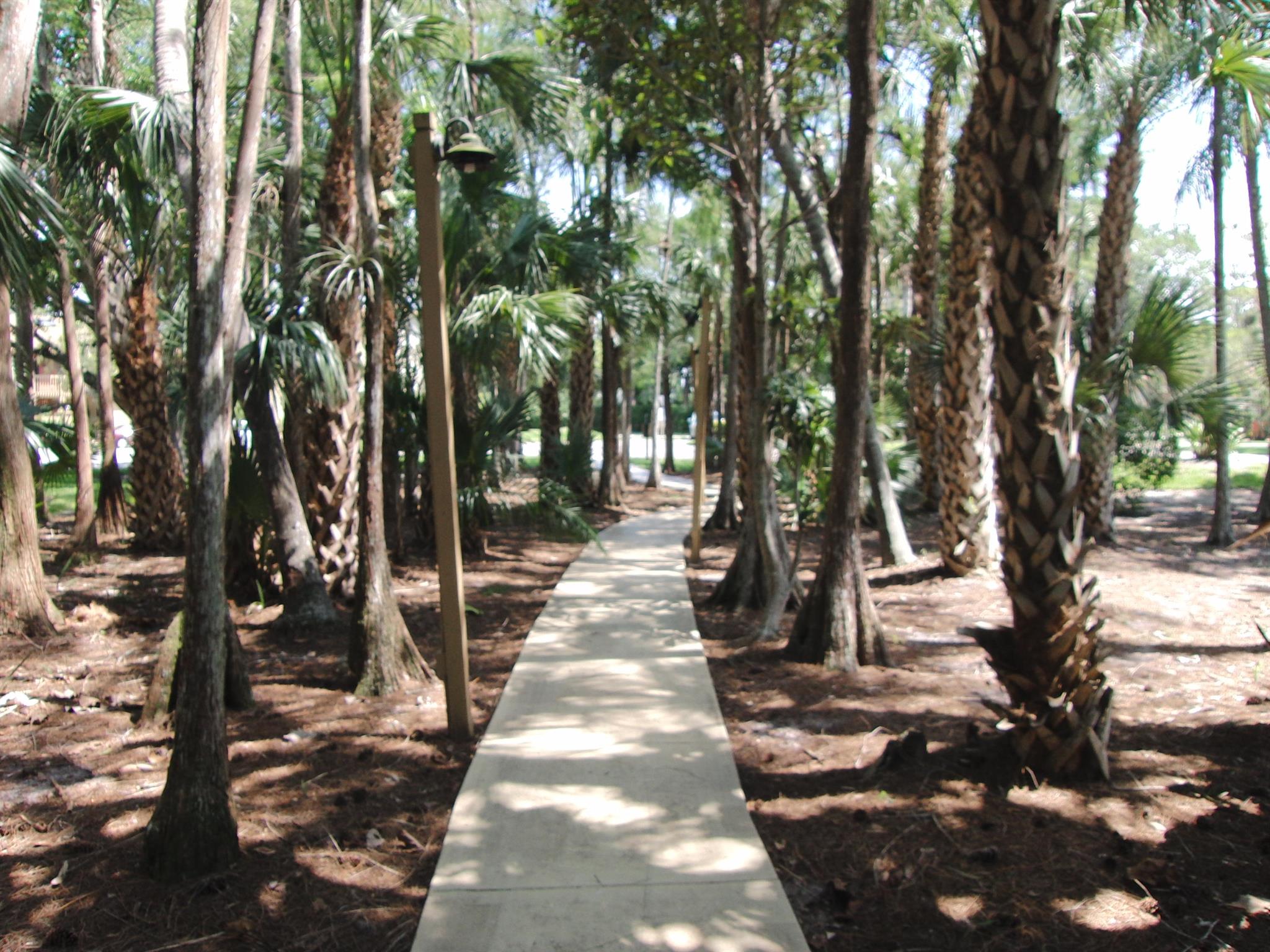 SHEFFIELD WOODS AT WELLIN - Residential Lease