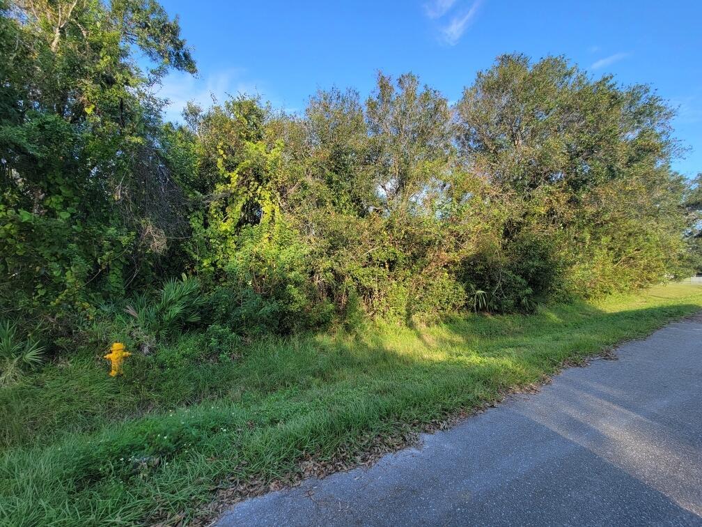 Beautiful wooded 125x125 lot in Basswood. This lot has city water and no HOA. Perfect to build your next home. This area is close to schools and not far from shopping. Many new homes being built in this area.