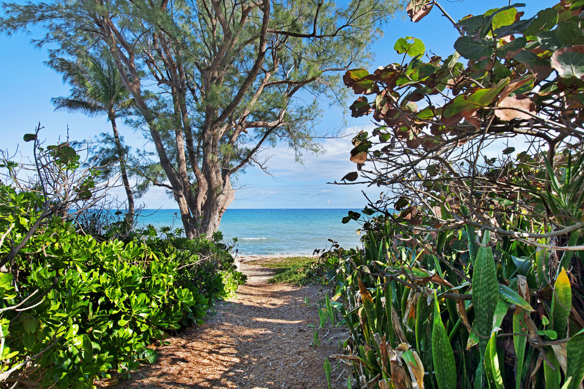 DODGE ESTATES IN - Residential