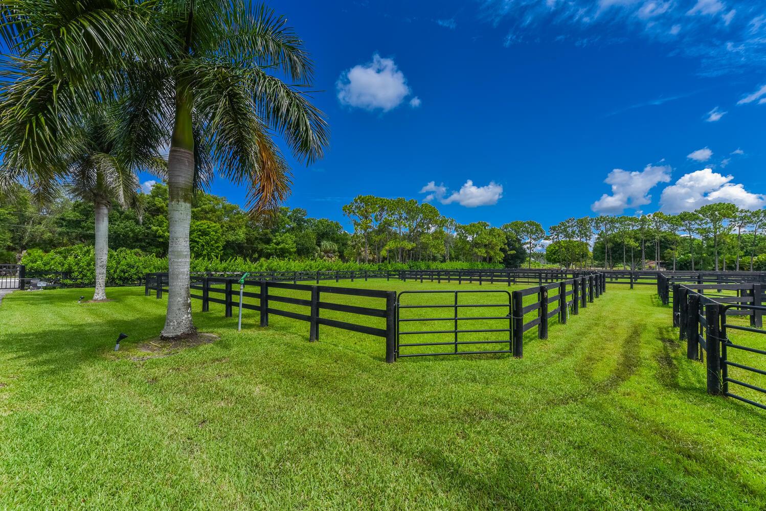 Rustic Ranches - Residential Lease