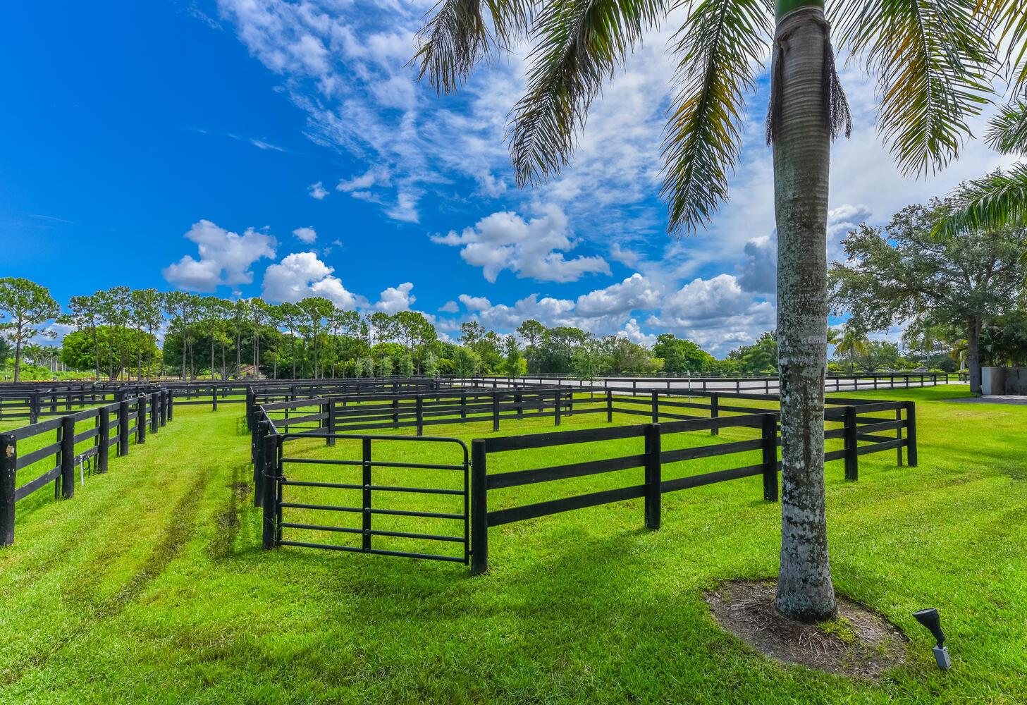 Rustic Ranches - Residential Lease