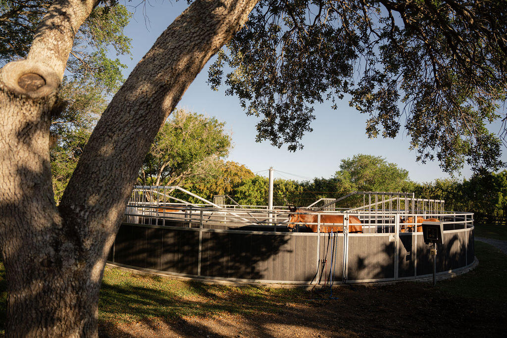 Rustic Ranches - Land