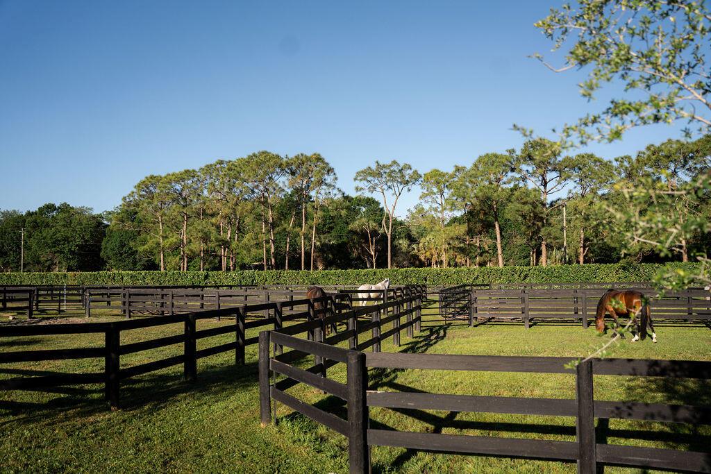 Rustic Ranches - Residential Lease