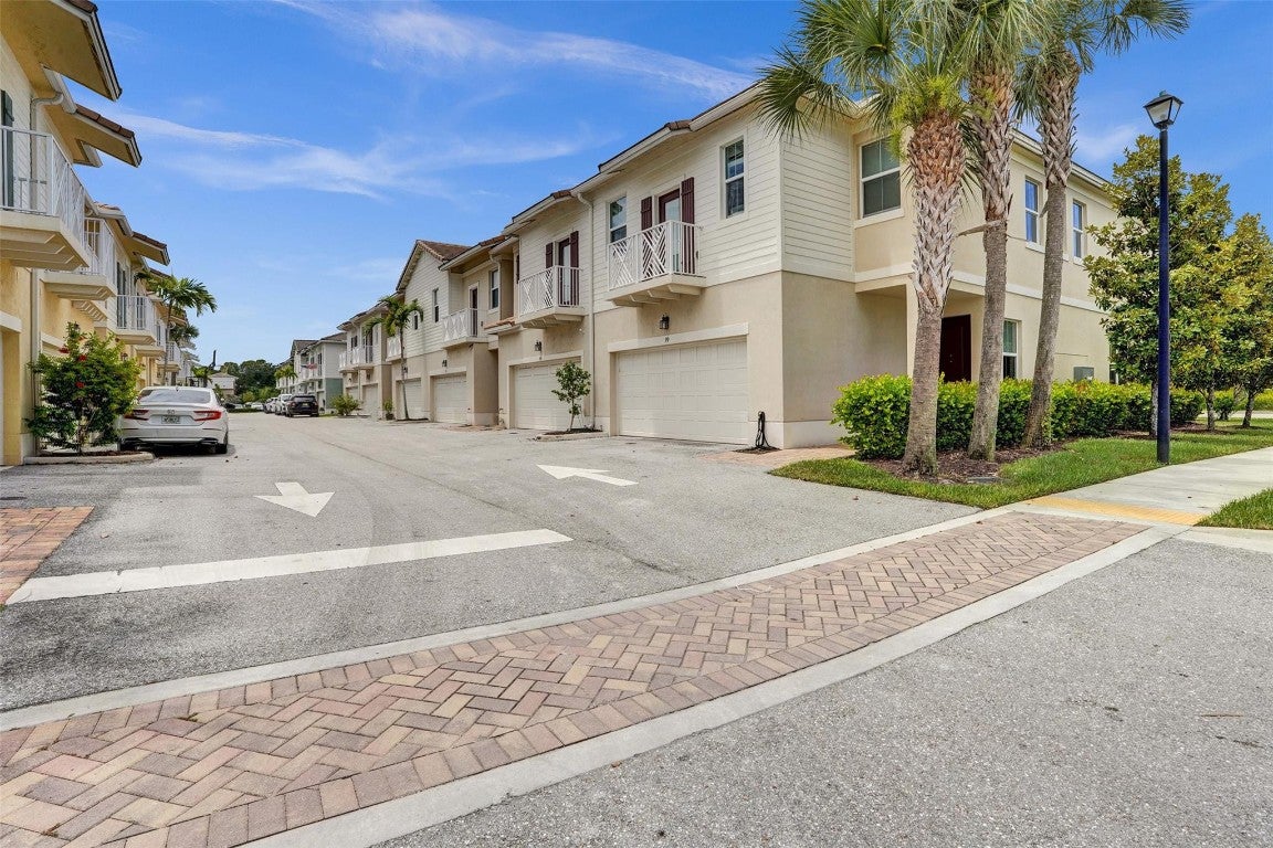 99 Palm Lane