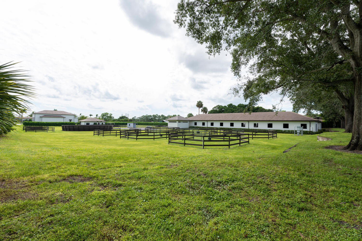 PALM BEACH LITTLE RANCHES - Residential