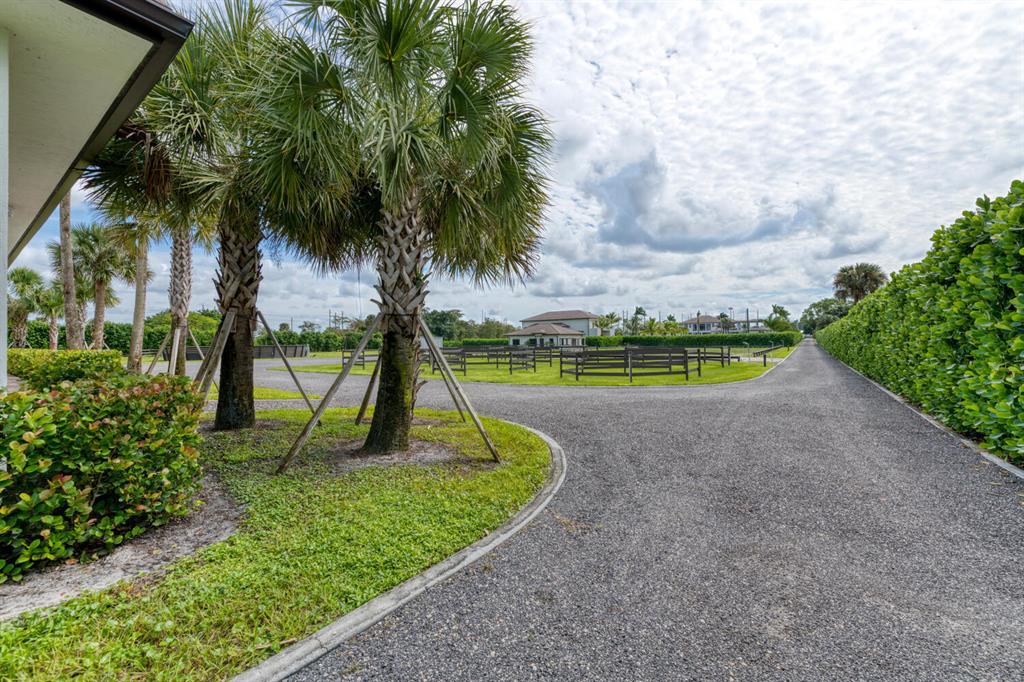 PALM BEACH LITTLE RANCHES - Residential