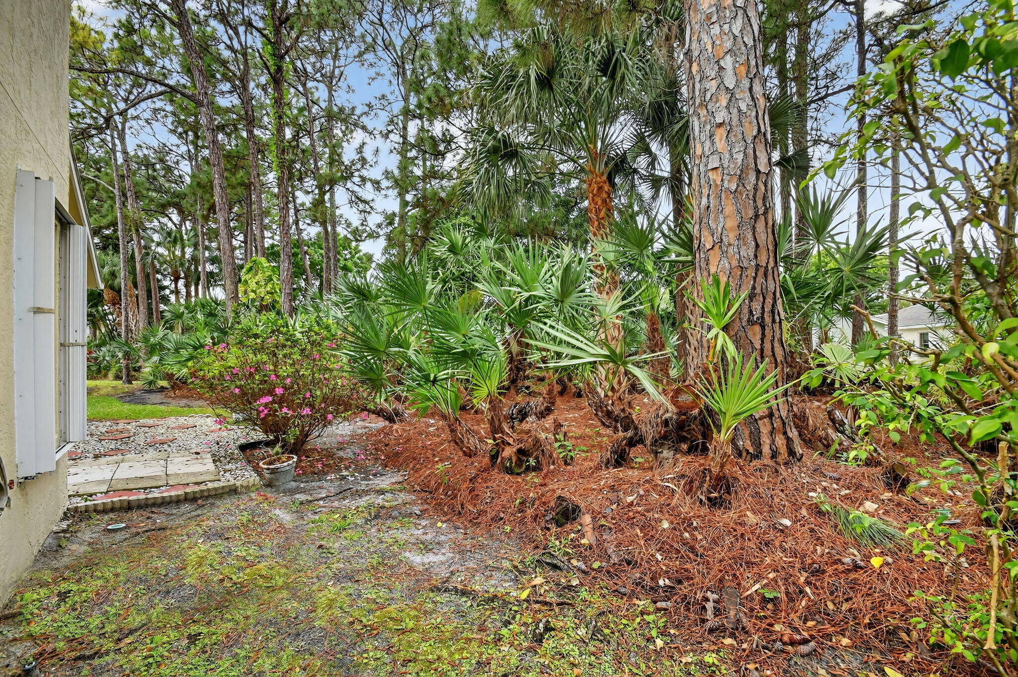 RIVER BRIDGE 2 - Residential