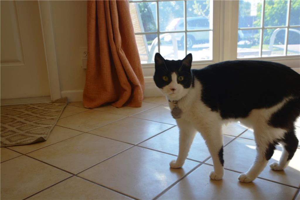 Wilton Estates Resub 33-6 - Residential