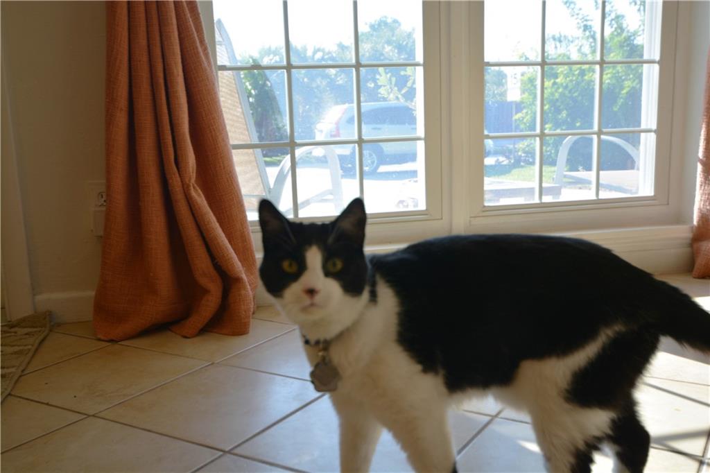 Wilton Estates Resub 33-6 - Residential