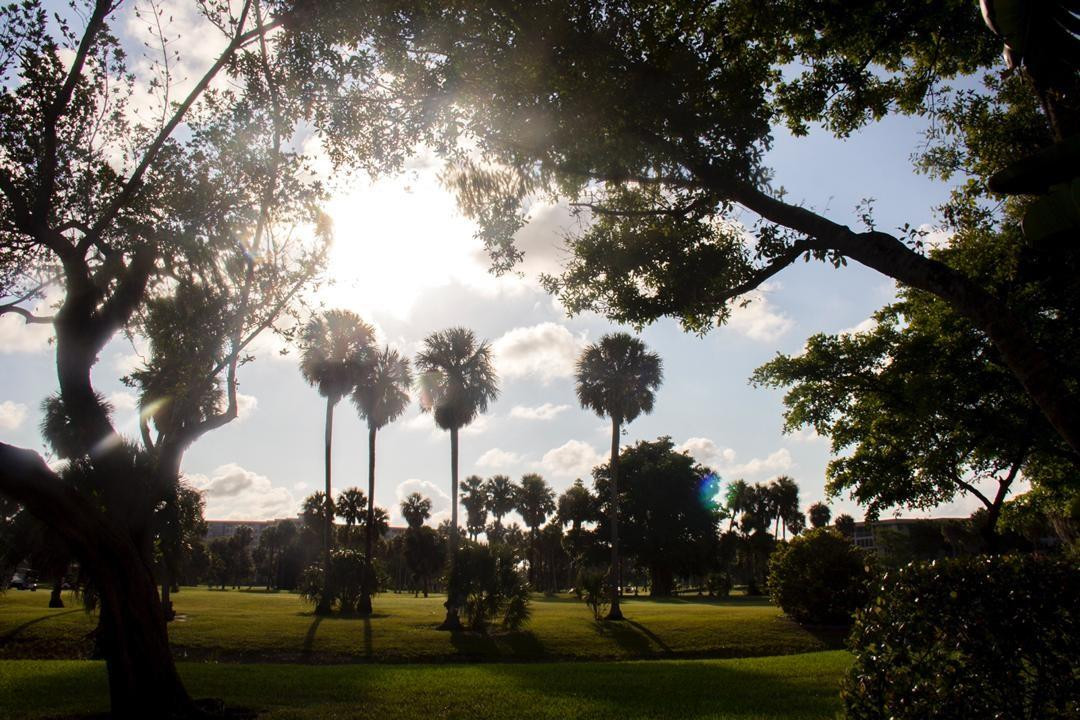 Palm Aire Oaks Course Est - Residential