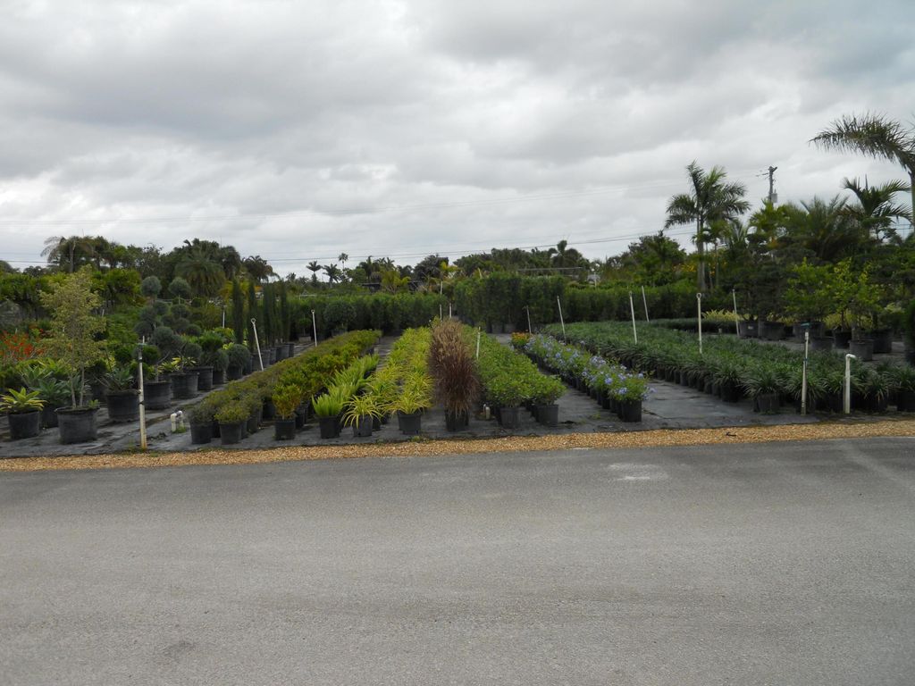 Photo of 0 Boynton Beach Blvd, Boynton Beach, FL (MLS # B26024005)