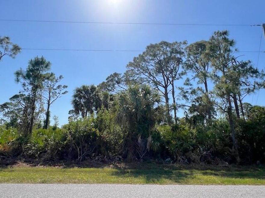 Nice lot in Port Charlotte, now available for your new Florida home. Located just east of Myakka State Forest hiking and trail biking opportunities.  Buy and build or hold for investment.