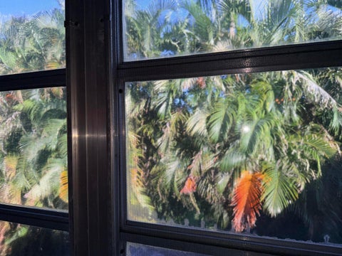 Tiny photo for 1150 Mahogany Way #203, Delray Beach, FL 33445 (MLS # B26089388)