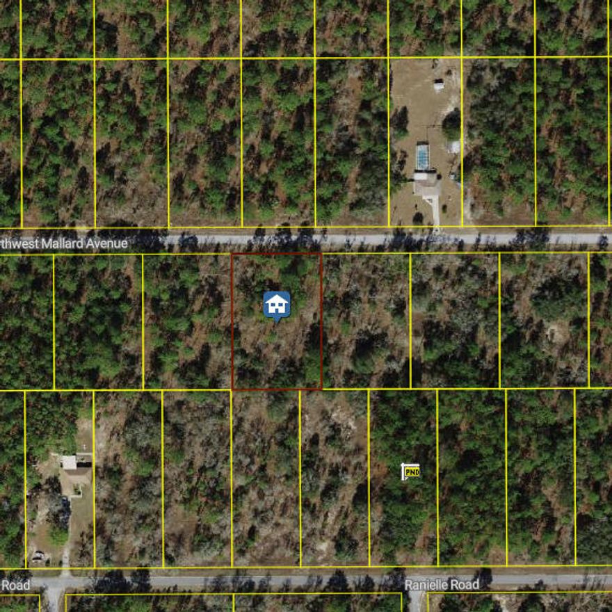 Wooded 1.02 acre R1 Zoned lot in Dunnellon-Ready for your site built home! This peaceful parcel is blanketed in mature native vegetation offering natural privacy and the beauty of Florida's landscape as your backdrop. Clear to your preference and design your ideal homesite surrounded by mature trees and natural shade. Conveniently located near shopping, dining, and Dunnellon's renowned outdoor recreation including the Rainbow River. Build now or hold as an investment. Your Florida dream starts here!!