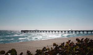 OLD PORT COVE ADMIRALTY - Residential