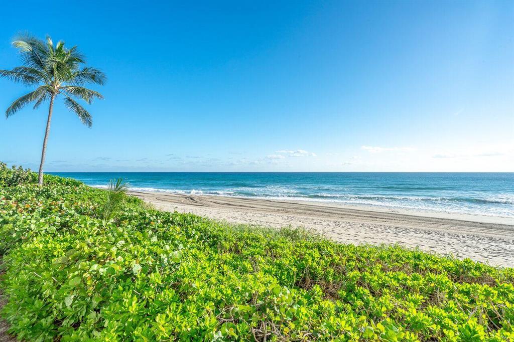 AMBASSADORS V SOUTH CONDO - Residential Lease