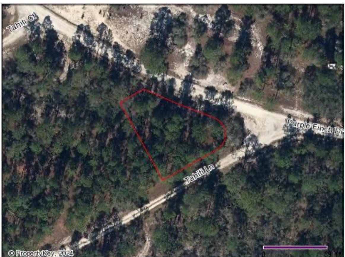 Sun N Lakes is a well sought after Subdivision in Lake Placid, Florida. Ongoing development and new construction within the area. Potential for investment or relocation opportunity. Take advantage of the strong and unique momentum in the Florida Real Estate Market and purchase this vacant lot. SELLER HAS MULTIPLE LOTS AVAILABLE