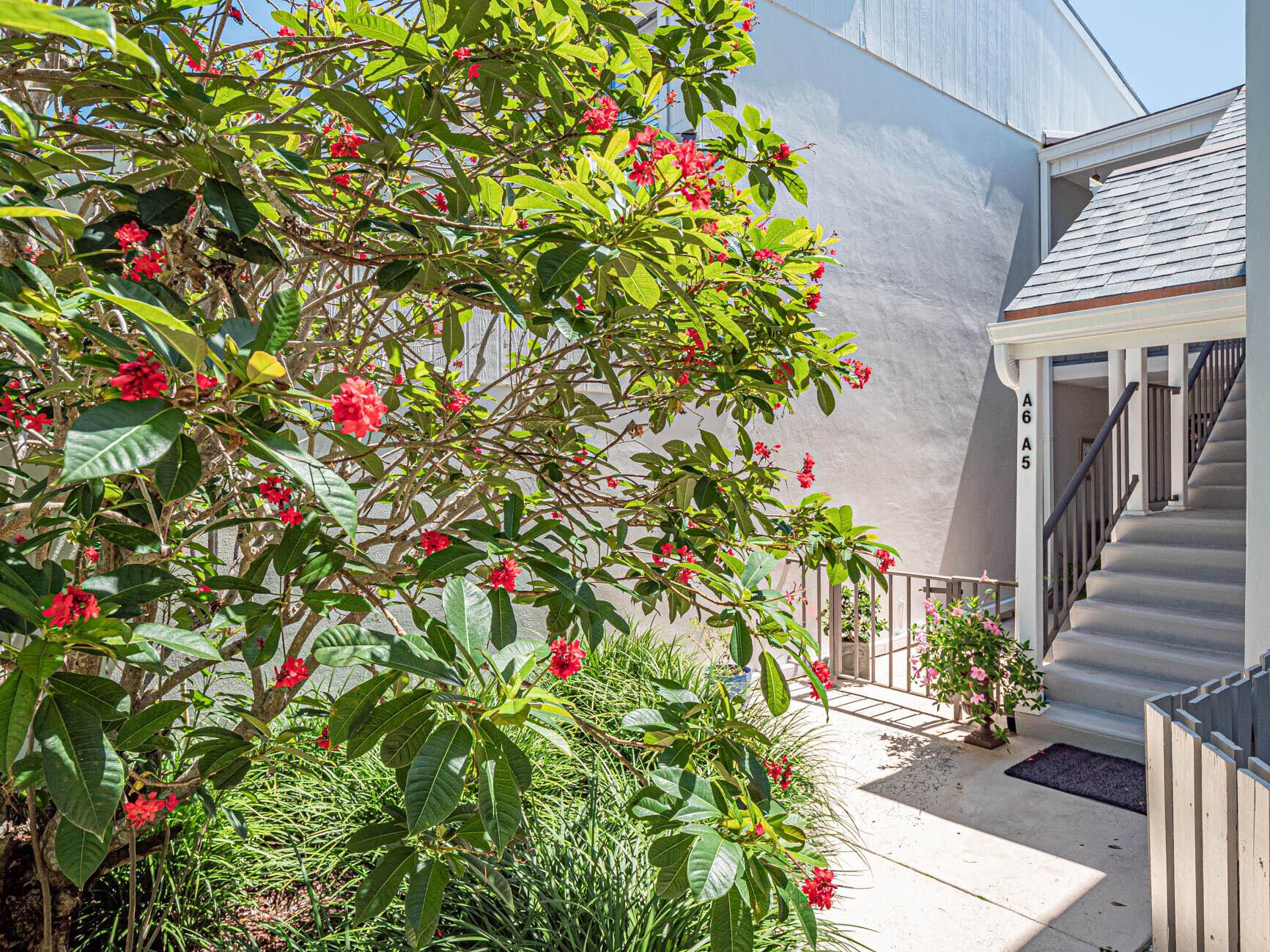 WINDWARD IV CONDOMINIUM - Residential Lease