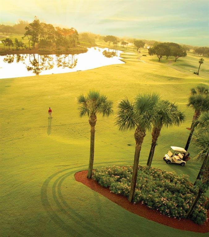 BRIDGEWOOD - Residential