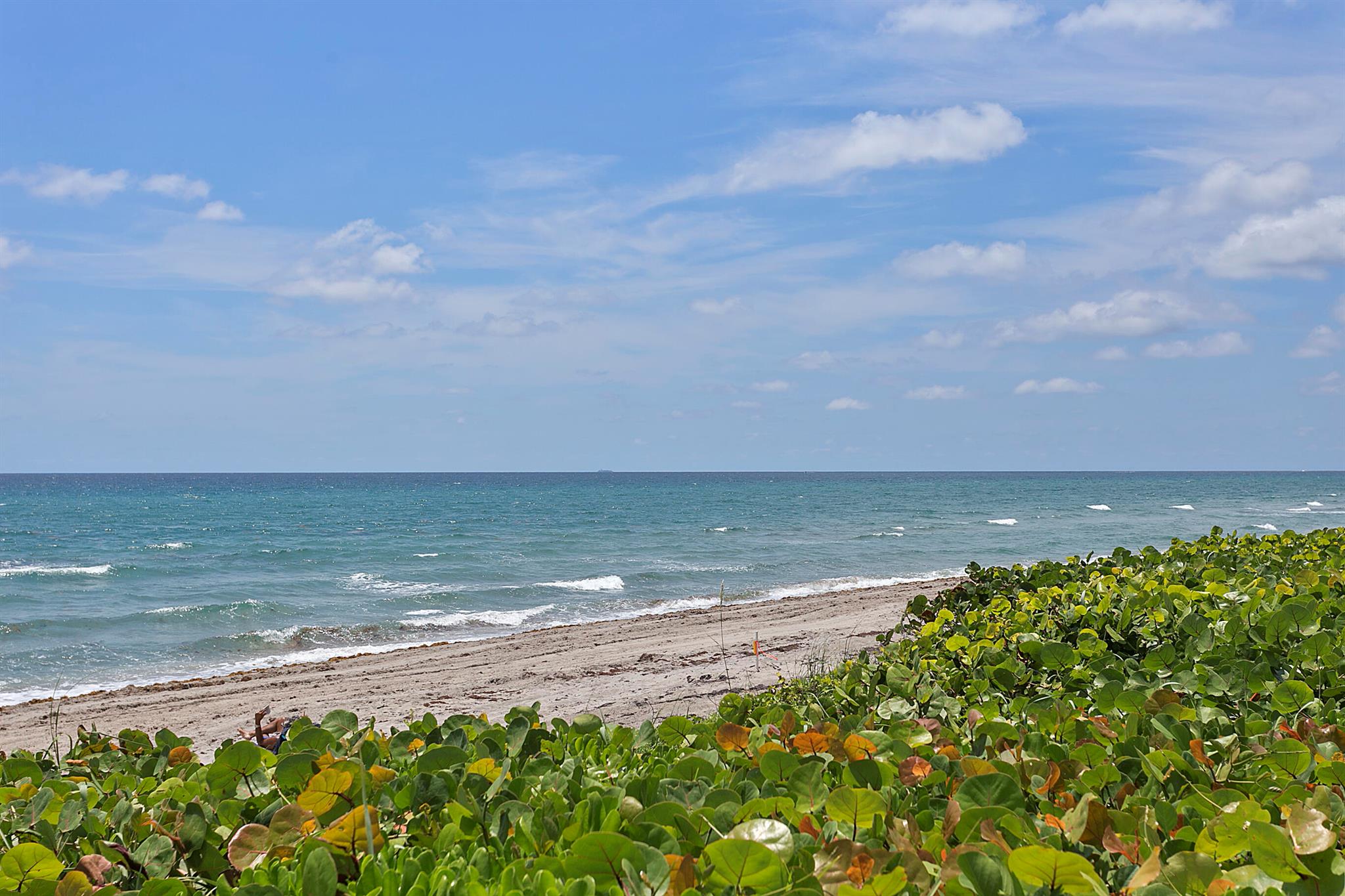 OCEAN TERRACE NORTH CONDO - Residential