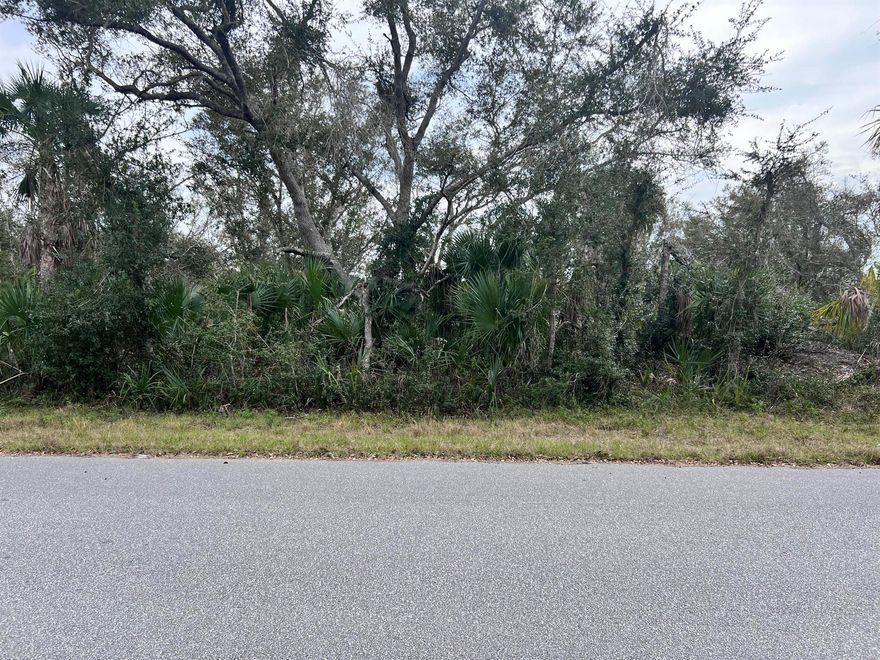 OWNER FINANCIAL AVAILABLE!! Port Charlotte is one of the growing cities in Florida, close to the beach, restaurants, markets, and much more. You can have your new construction home with all the benefits of living in paradise. Make this beautiful lot your future home!!