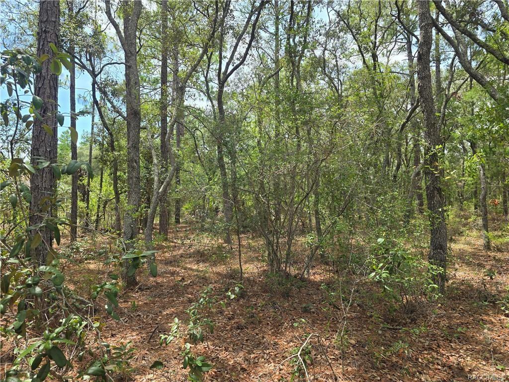 Citrus Spgs Unit 22 - Land