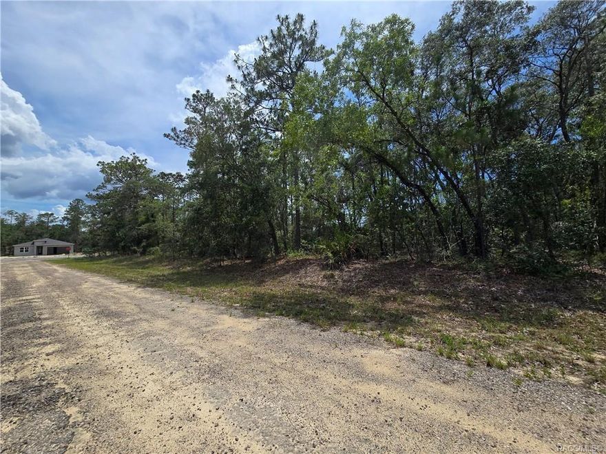 Great opportunity to own a homesite in the fast-growing community of Citrus Springs! This well-priced lot is perfect for building your site-built dream home in a peaceful, residential setting. Enjoy nearby golf, the Withlacoochee State Trail, and all the perks of Citrus County—natural springs, rivers, and a relaxed Florida lifestyle. No HOA and paved roads make this an easy choice!