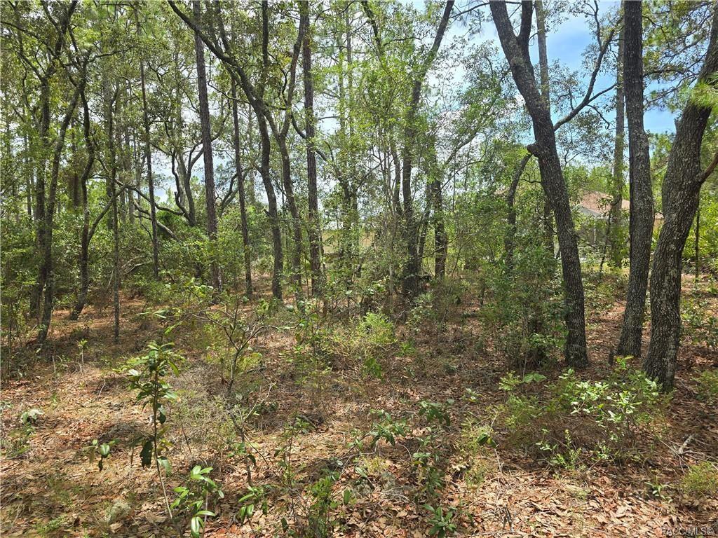 Citrus Spgs Unit 22 - Land