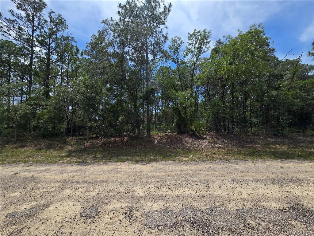 Citrus Spgs Unit 22 - Land