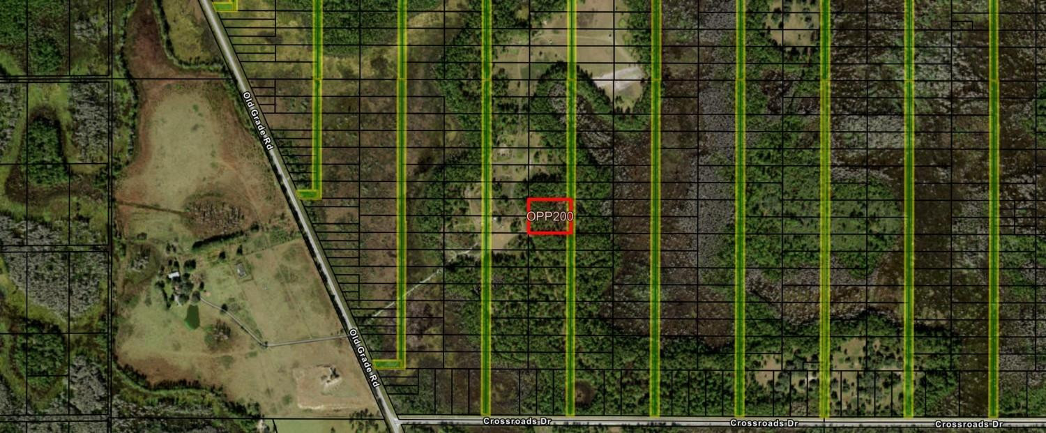 Opp200 Orlando Pines - Land