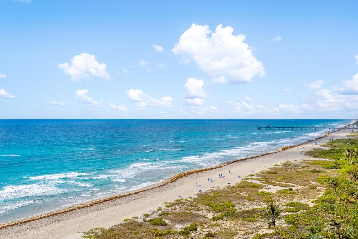 Luxuria - Residential