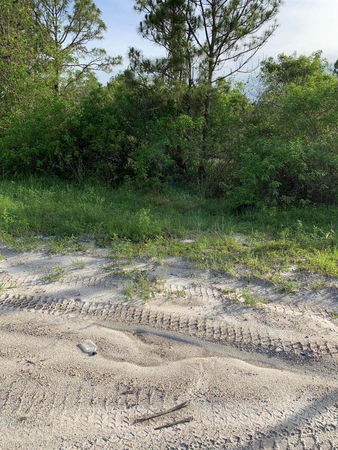 Lot 5010 - Seminole Pratt Whitney Rd