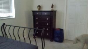 SUNSET EAST - Residential Lease