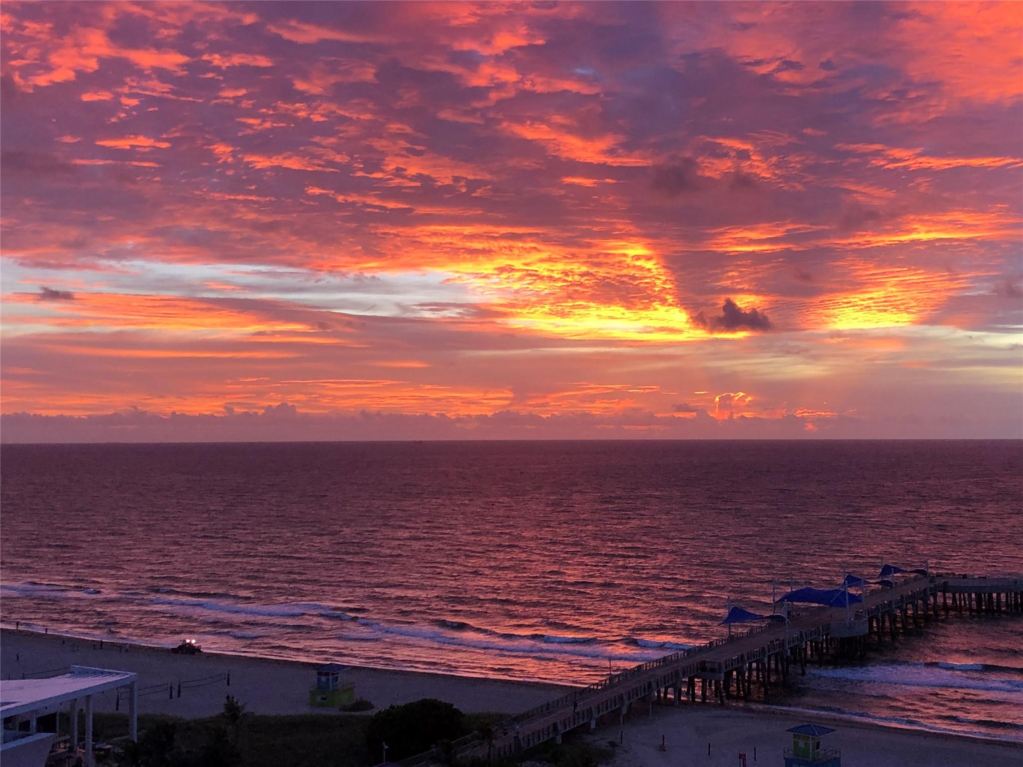 Ocean Monarch Condo - Residential Lease