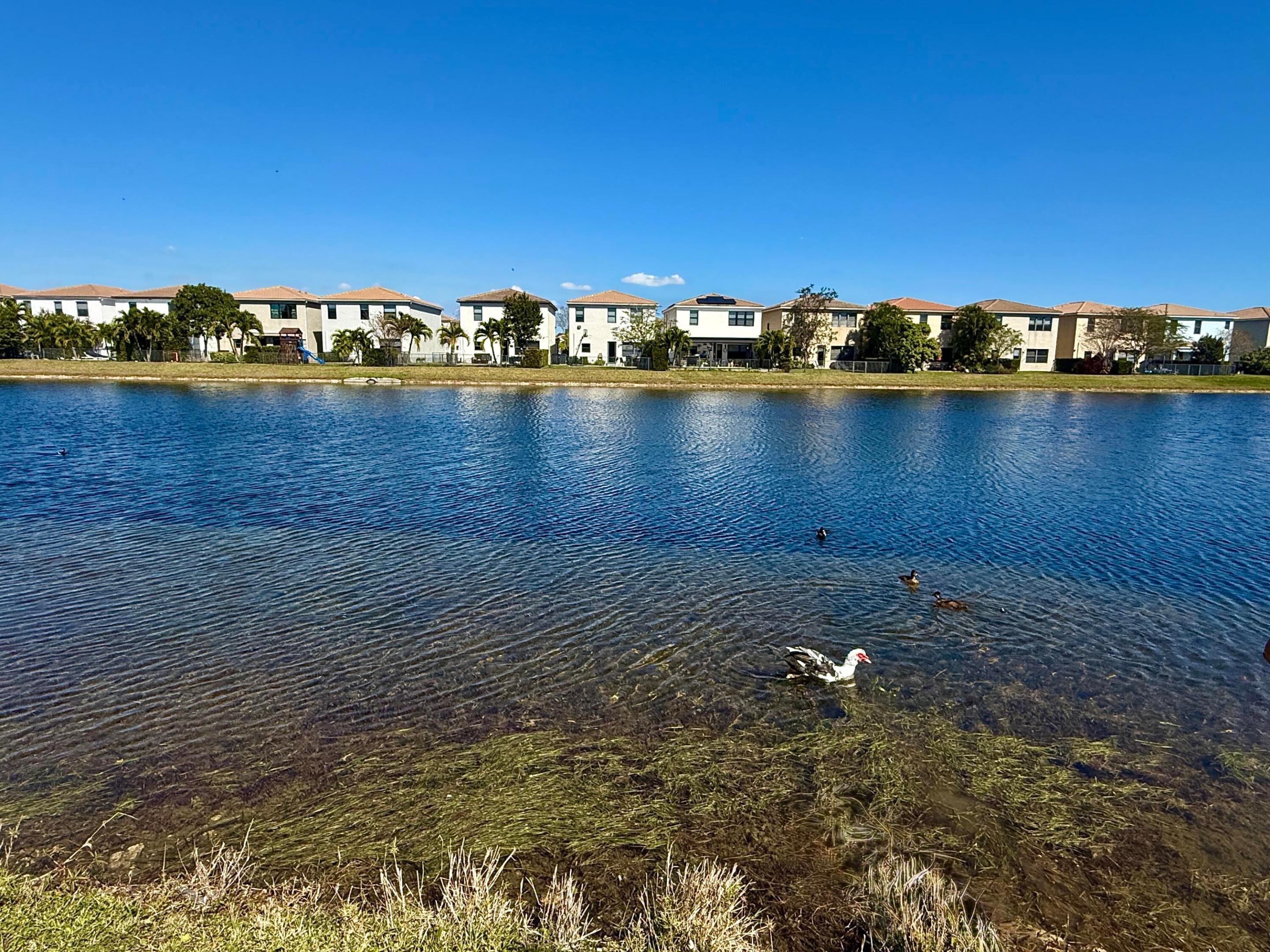 CHAMPION LAKES - Residential